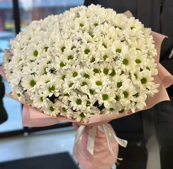 Ромашковое облако