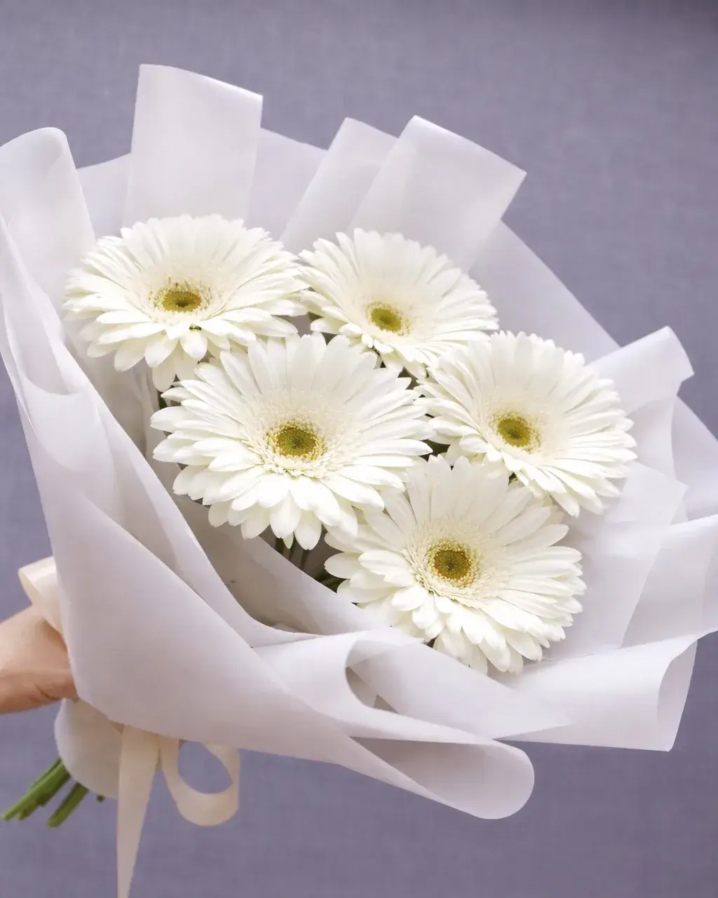 Белое совершенство