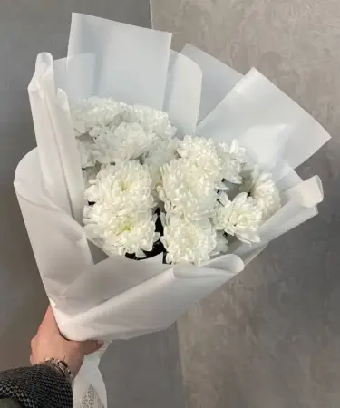 Вуаль нежности