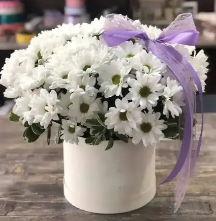 Ромашковый рай