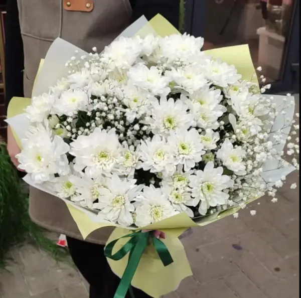 Пышное облачко